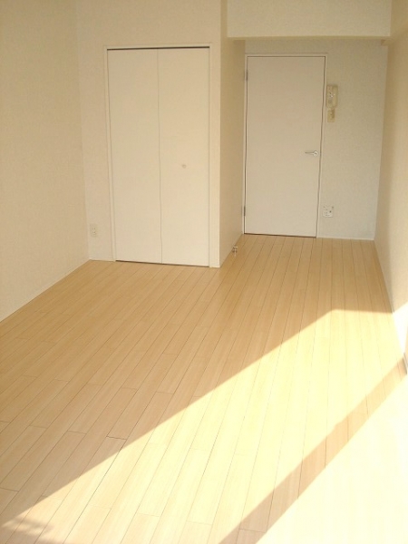 5269602