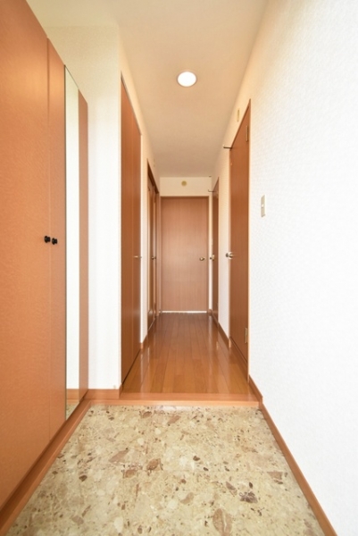 r8 21710081