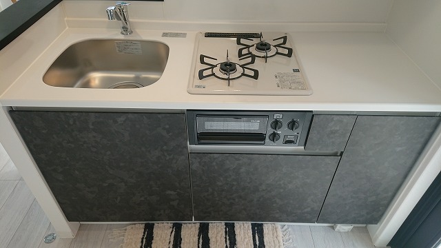 DSC 1013