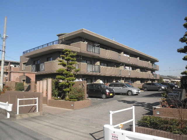 r11 81700081