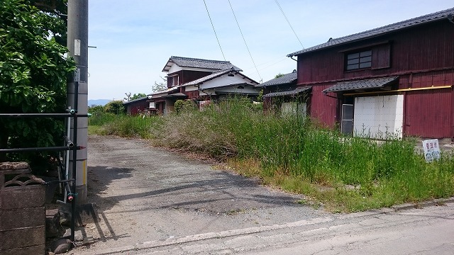 DSC 2446