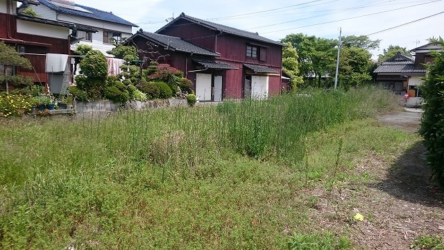 DSC 2448